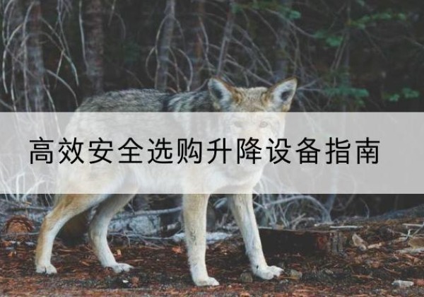 沅陵升降货梯厂家推荐-*安全选购升降设备指南