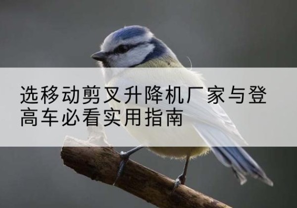 沅陵电动升降机厂家-选移动剪叉升降机厂家与登高车必看实用指南