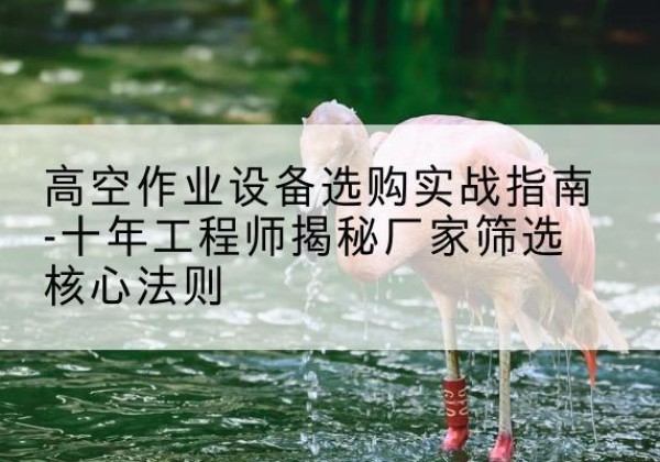 沅陵剪叉式升降机厂家-高空作业设备选购实战指南-十年工程师揭秘厂家筛选核心法则